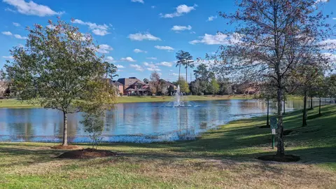 View/Area - 22610 Cutter Mill Dr, Spring, TX 77389 photo 4 of 4