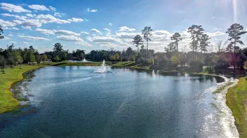 View/Area - 22610 Cutter Mill Dr, Spring, TX 77389 photo 3 of 4
