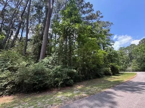tbd 04 Doral, Trinity, TX 75862 photo 6