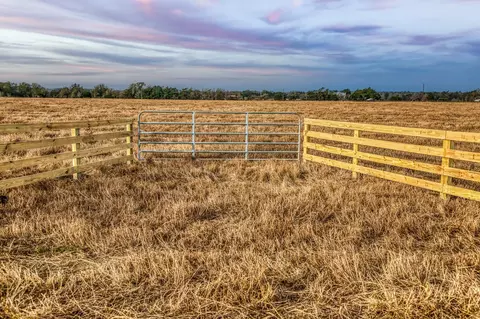 T B D County Road 318, Caldwell, TX 77836