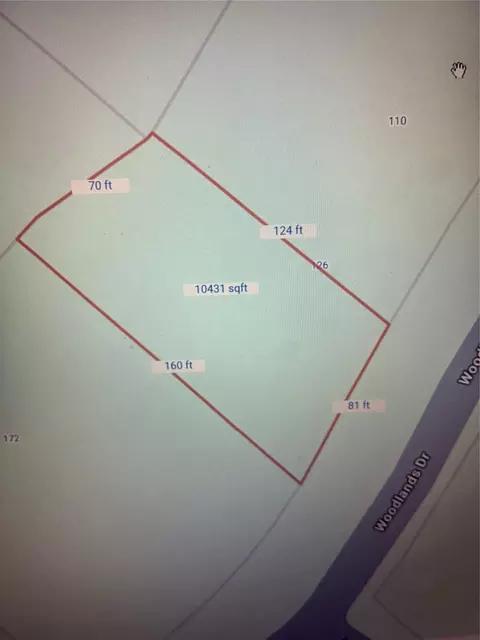 0 Woodlands Dr, Trinity, TX 75862 photo 3