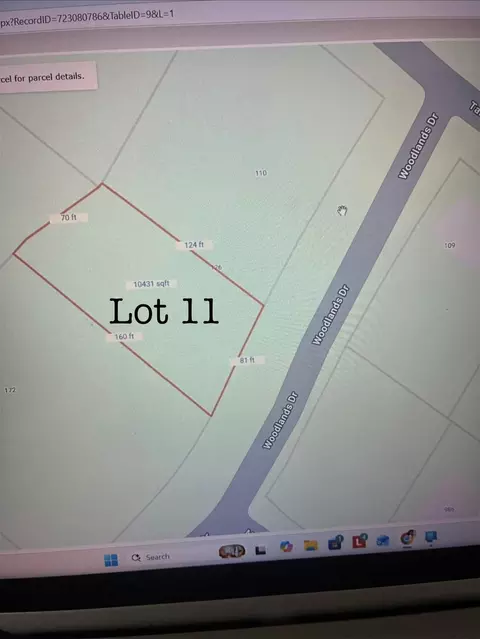 0 Woodlands Dr, Trinity, TX 75862 photo 2