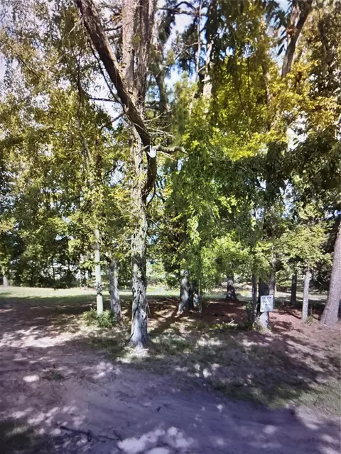 0 Woodlands Dr, Trinity, TX 75862 photo 4