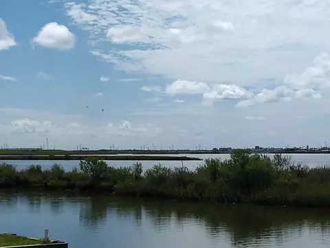 00 Bayou Ln, Freddiesville, TX 77563