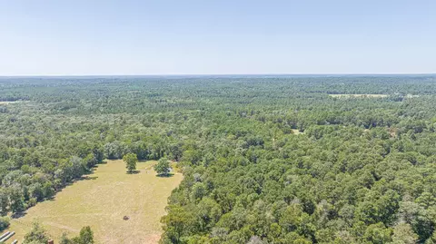 tbd Hill Rd, Willis, TX 77378 photo 9