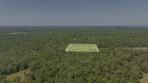 tbd Hill Rd, Willis, TX 77378 photo 3