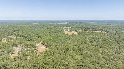 tbd Hill Rd, Willis, TX 77378 photo 7