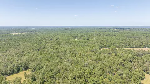 tbd Hill Rd, Willis, TX 77378 photo 8