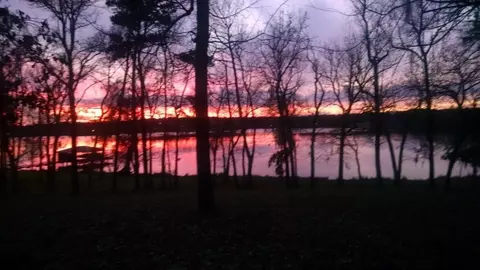 View/Area - 345 Mccove, Onalaska, TX 77360 photo 3 of 3
