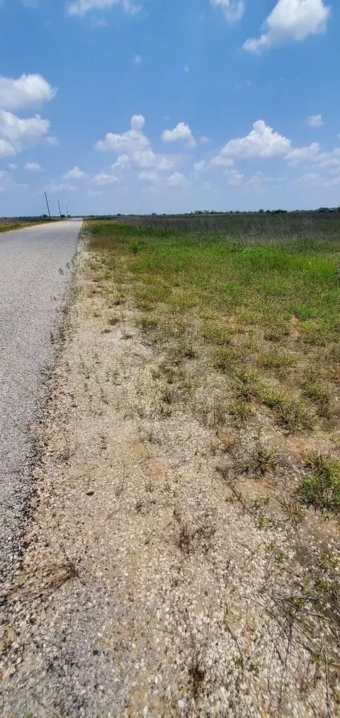139 Wild Wing Preserve, Columbus, TX 78934