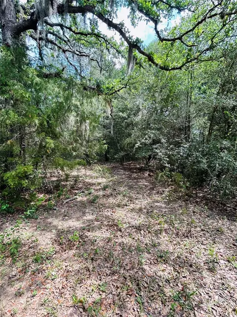 25 Acres Dunlavy Rd, Cat Spring, TX 78933