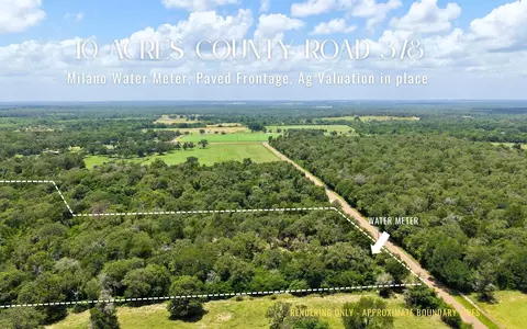 tbd County Road 378 - 10 Acres, Caldwell, TX 77836
