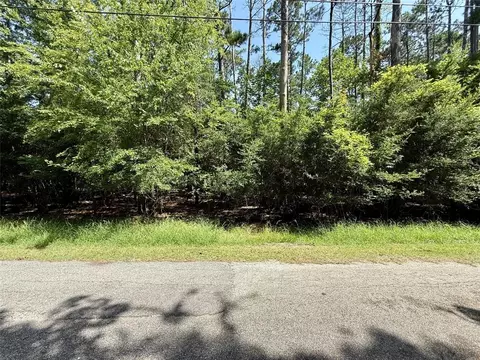 155 W Lake Dr, Houston, TX 77336