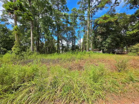 156 Lakeview Dr, Onalaska, TX 77360 photo 6