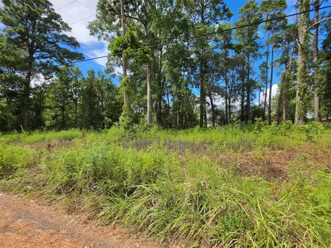 156 Lakeview Dr, Onalaska, TX 77360 photo 5