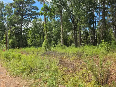 156 Lakeview Dr, Onalaska, TX 77360 photo 4