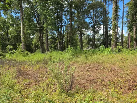 156 Lakeview Dr, Onalaska, TX 77360 photo 2