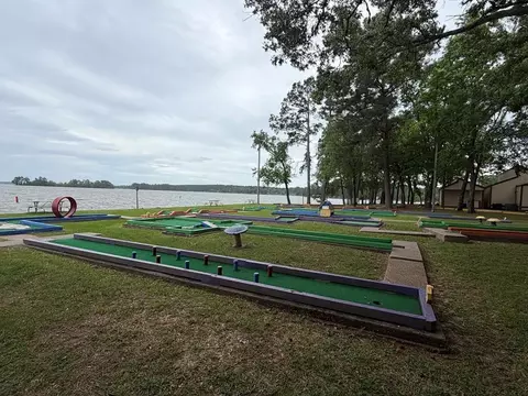 View/Area - 86 E Whippoorwill, Trinity, TX 75862 photo 3 of 5