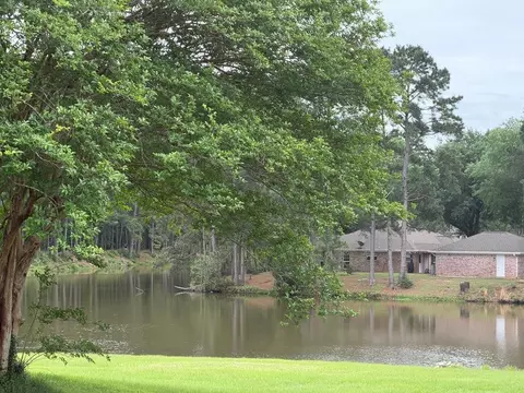 View/Area - 86 E Whippoorwill, Trinity, TX 75862 photo 2 of 5