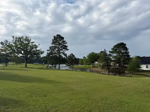Other - 86 E Whippoorwill, Trinity, TX 75862 photo 4 of 16