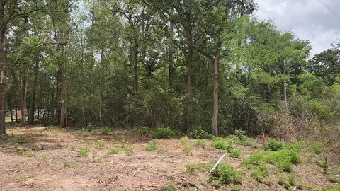 lot10 B53 Sweetleaf Ln, Plantersville, TX 77363