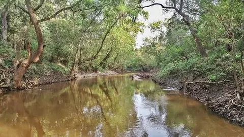 2698 County Road Edna, Edna, TX 77957