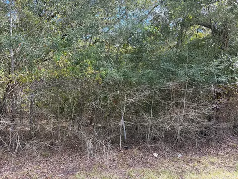 00 Bayou Dr, Danbury, TX 77534