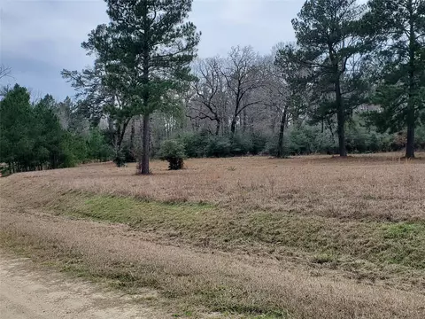 lot1 2 Oakley Rd, Trinity, TX 75862 photo 19