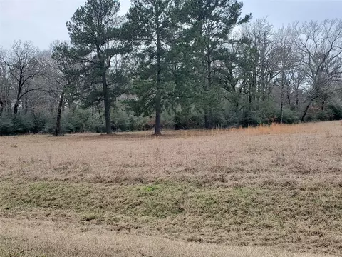 lot1 2 Oakley Rd, Trinity, TX 75862 photo 20