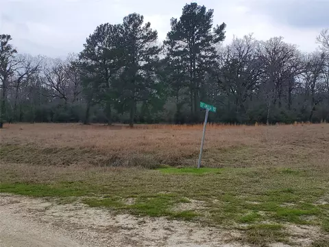 lot1 2 Oakley Rd, Trinity, TX 75862 photo 16