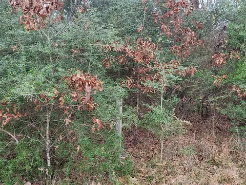 lot1 2 Oakley Rd, Trinity, TX 75862 photo 10