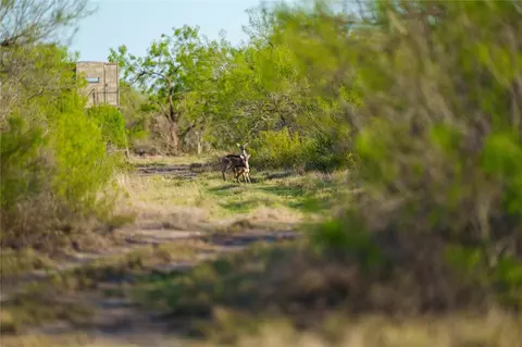 12355 Texas 131, Brackettville, TX 78832