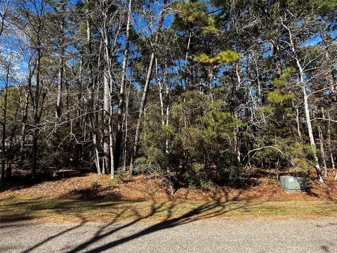 10 Wentworth Ln, Coldspring, TX 77331