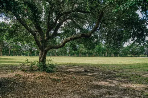 Other - 4601 Fm 390 E, Brenham, TX 77833 photo 2 of 15