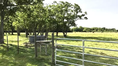 0 Eagle Rd, Anahuac, TX 77514 photo 7