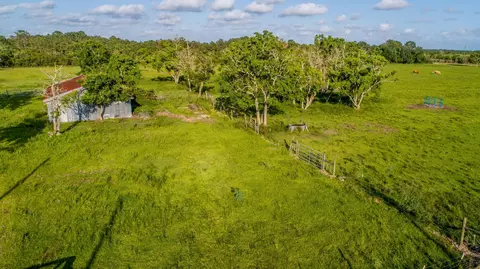 0 Eagle Rd, Anahuac, TX 77514 photo 5