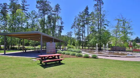View/Area - 207 Silver Sage Ct, Conroe, TX 77304 photo 4 of 5
