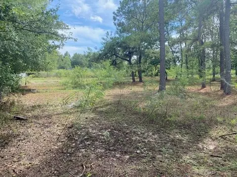0 Firetower Rd, Conroe, TX 77304 photo 13