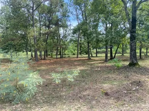 0 Firetower Rd, Conroe, TX 77304 photo 12