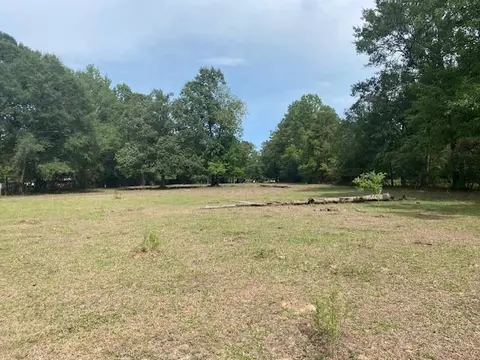 0 Firetower Rd, Conroe, TX 77304 photo 4