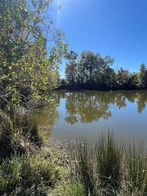 lot9 Lake Livingston Ln, Trinity, TX 75862 photo 10