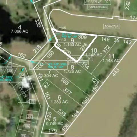 lot9 Lake Livingston Ln, Trinity, TX 75862