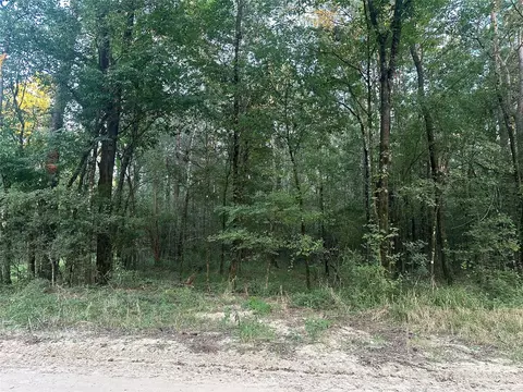 2103 Jenkins Rd, Coldspring, TX 77331