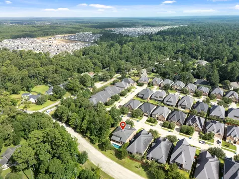 View/Area - 131 Deerchase Dr, Conroe, TX 77384 photo 7 of 8