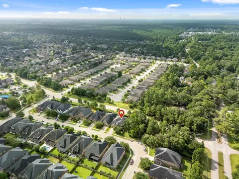 View/Area - 131 Deerchase Dr, Conroe, TX 77384 photo 4 of 8