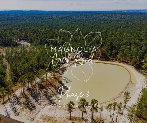 026 King Ranch Rd South Rd S, Onalaska, TX 77360