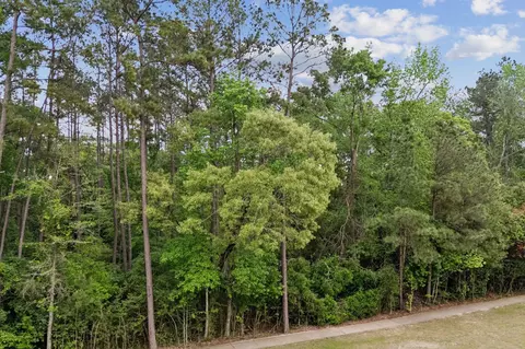 27322 Whispering Maple Way, Spring, TX 77386 photo 14