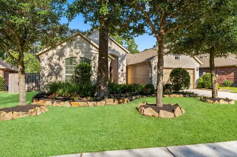 8 S Elderberry Trl, Montgomery, TX 77316