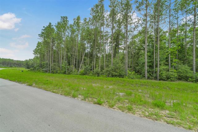 11991 High Branch Way, Willis, TX 77378