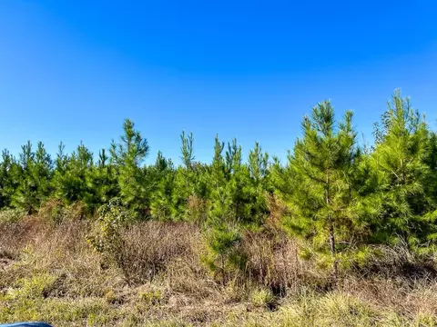 4 Farm To Market 787, Votaw, TX 77376